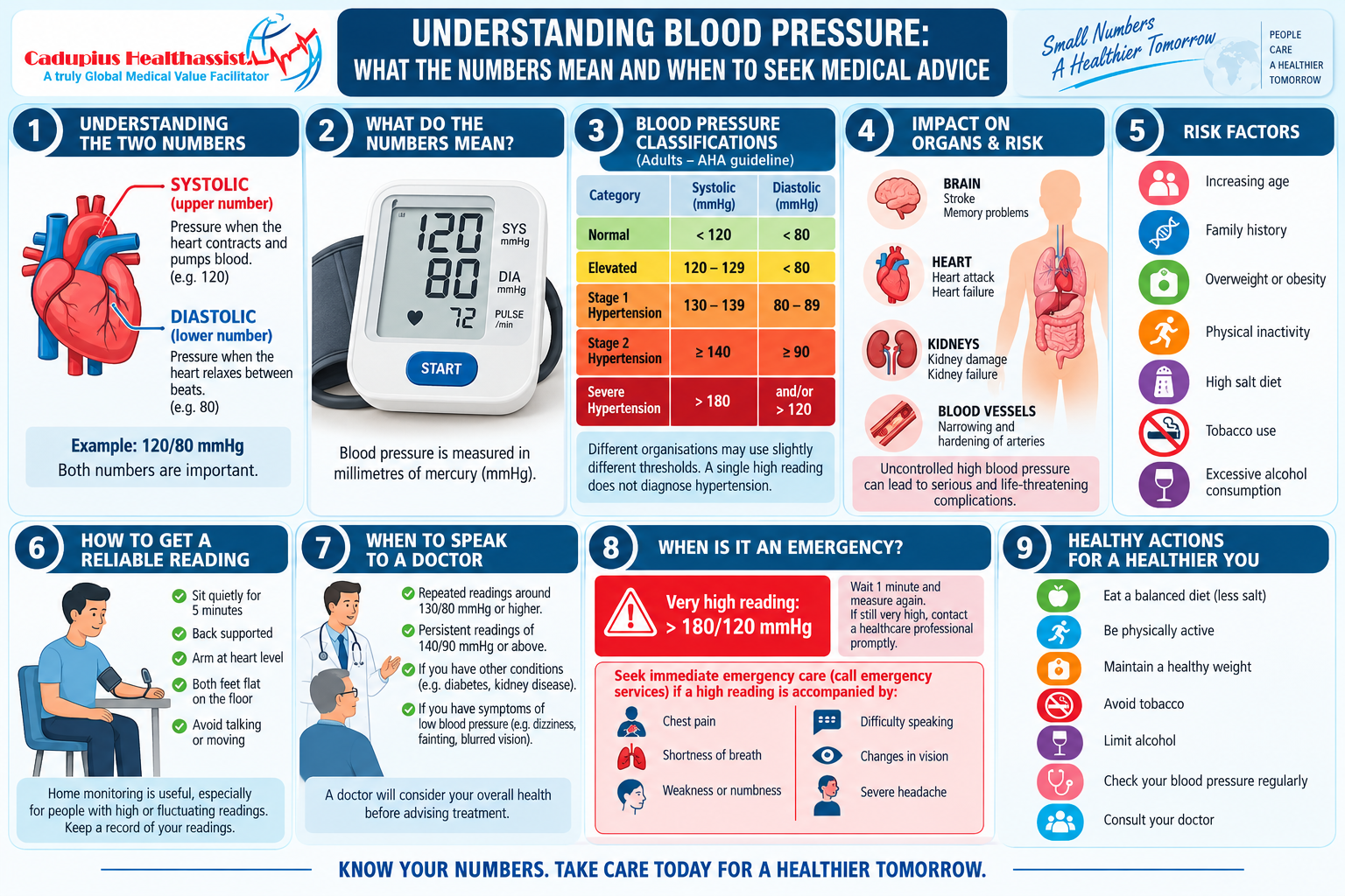 Understanding Blood Pressure: What the Numbers Mean and When to Seek Medical Advice
